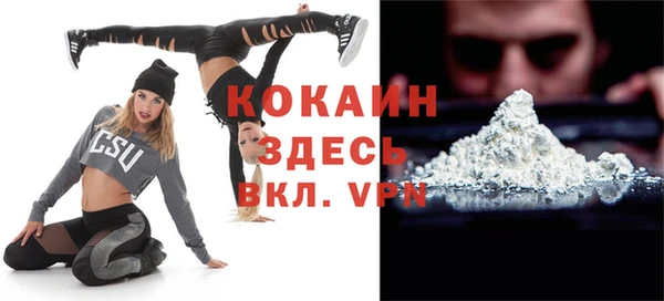 стаф Алзамай