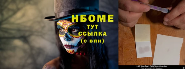стаф Алзамай