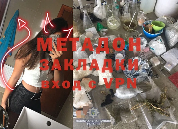стаф Алзамай