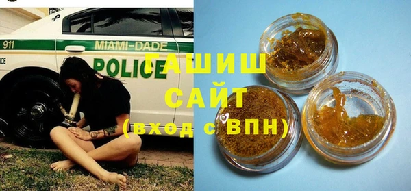стаф Алзамай