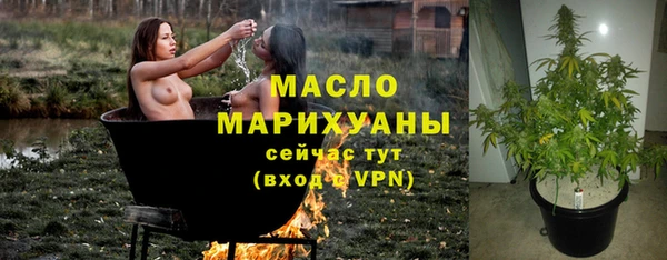 дмт Алексин