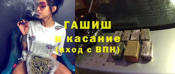 стаф Алзамай