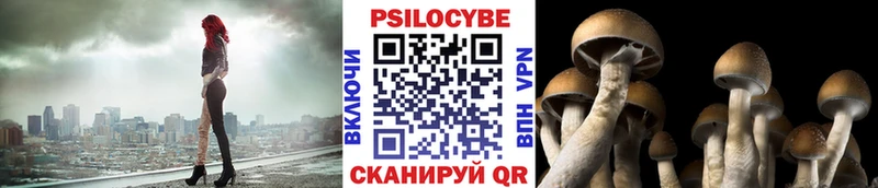 закладка  Нелидово  Галлюциногенные грибы MAGIC MUSHROOMS 